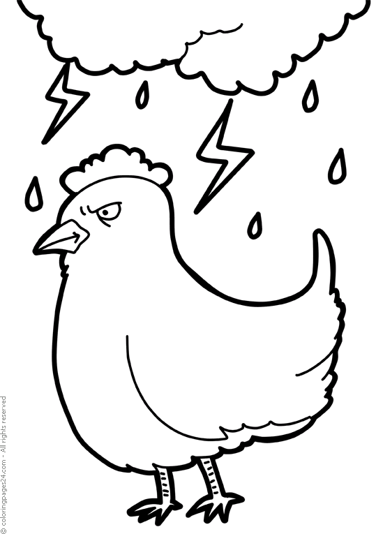 Chickens & Hens 7