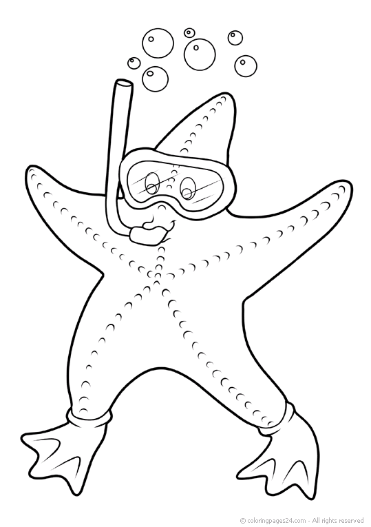 Sea Stars 5