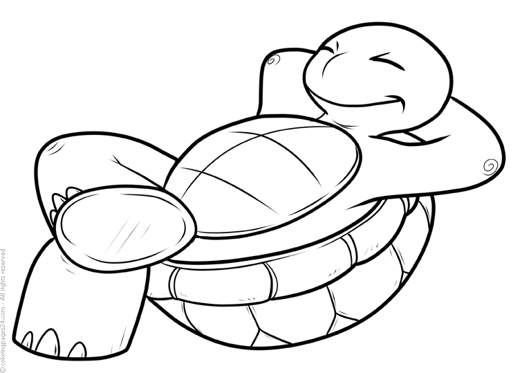 Turtles 9