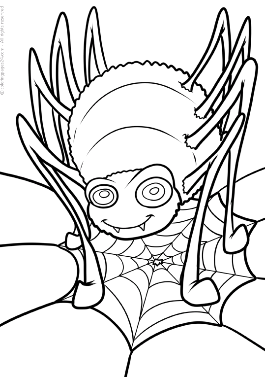 Spiders 8