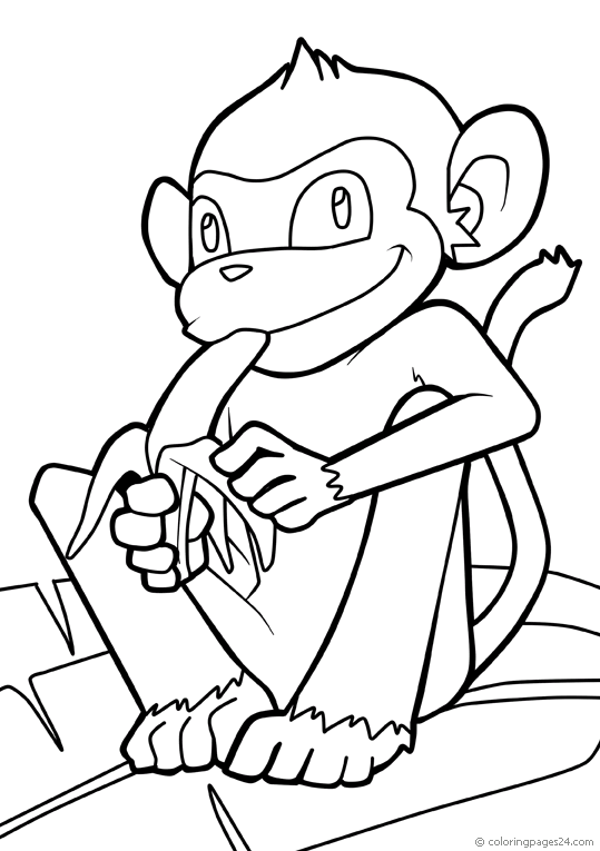 Monkeys 33