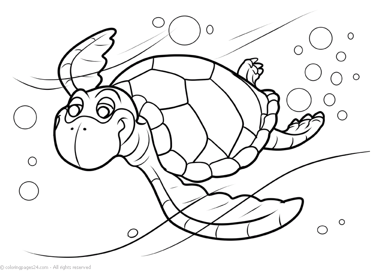Turtles 10