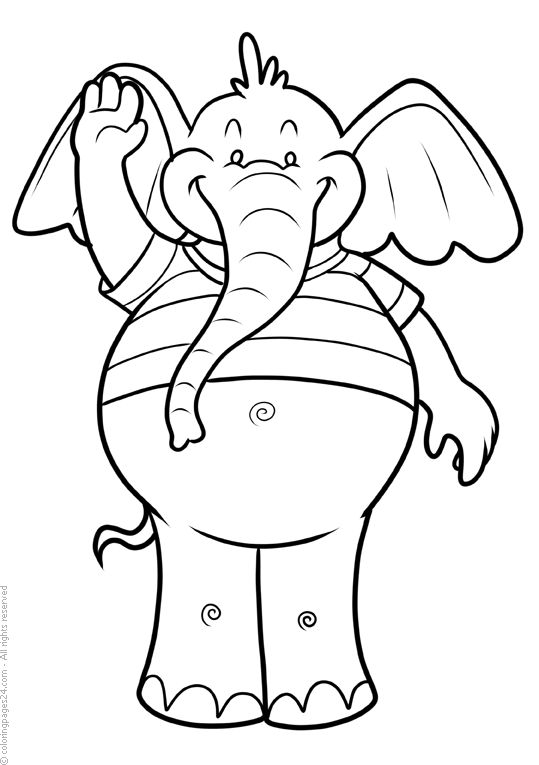 Elephants 15