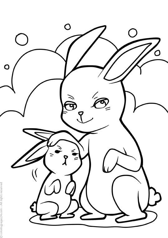 Rabbits 16