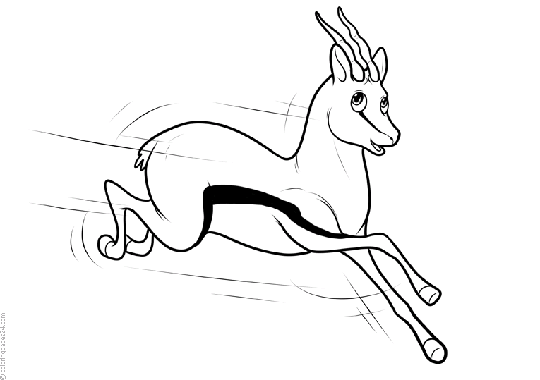 Antelopes 2