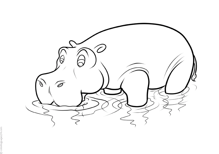 Hippos 9