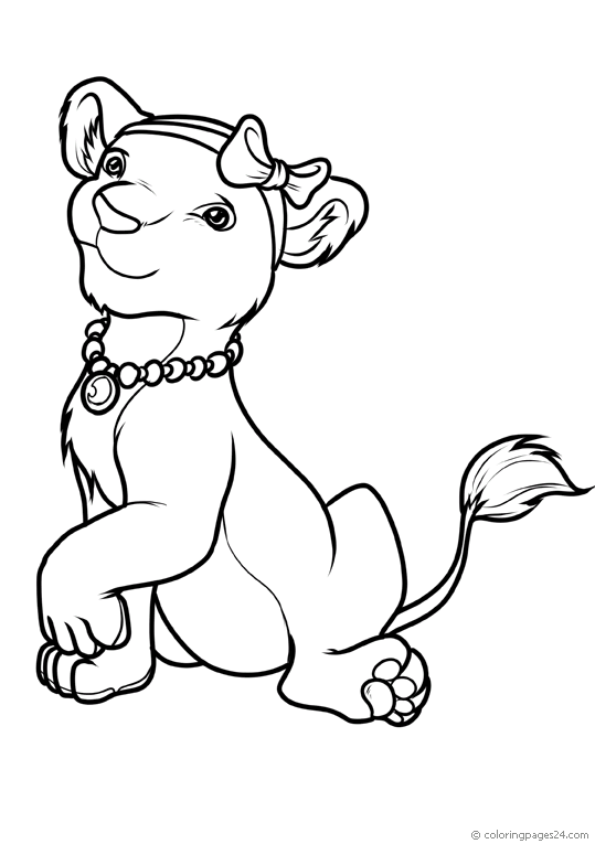 Lions 16