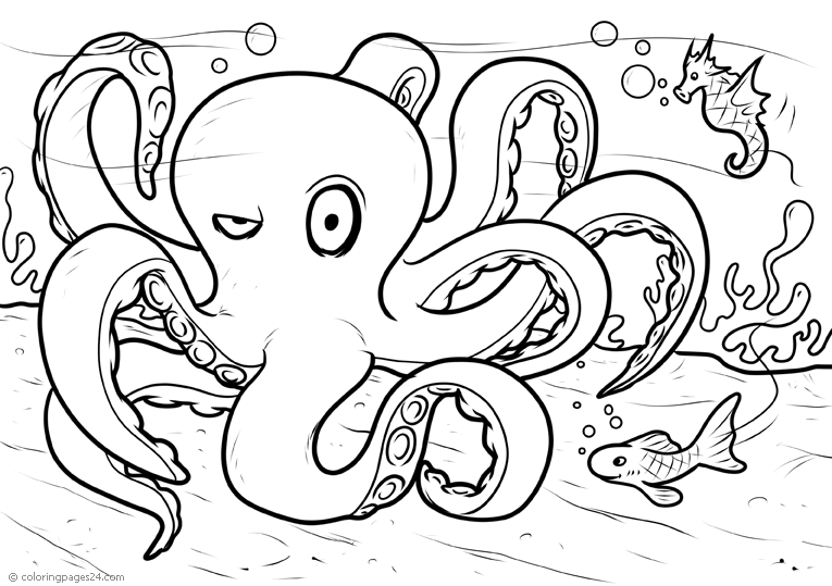 Octopuses 7