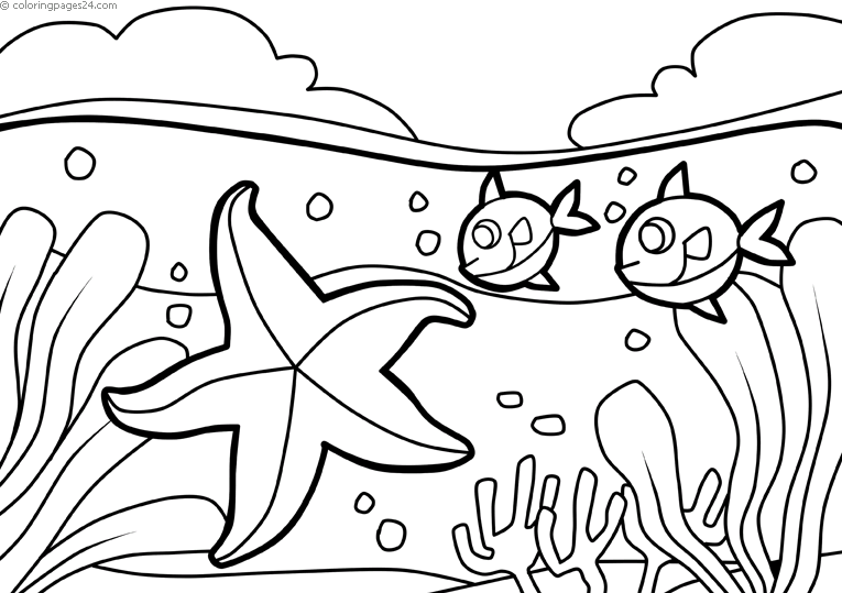 Sea Stars 6