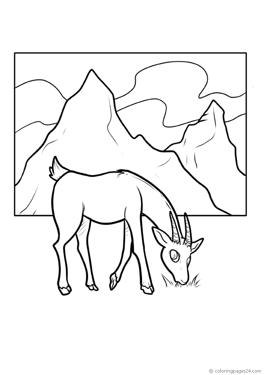 Antelopes 3
