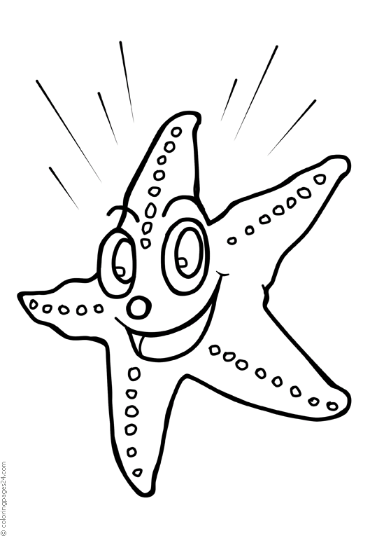 Sea Stars 7