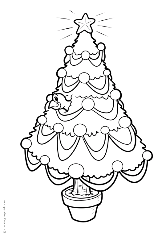 Close up of Christmas tree