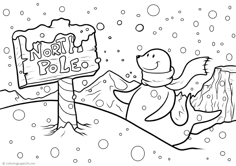 Winter 29