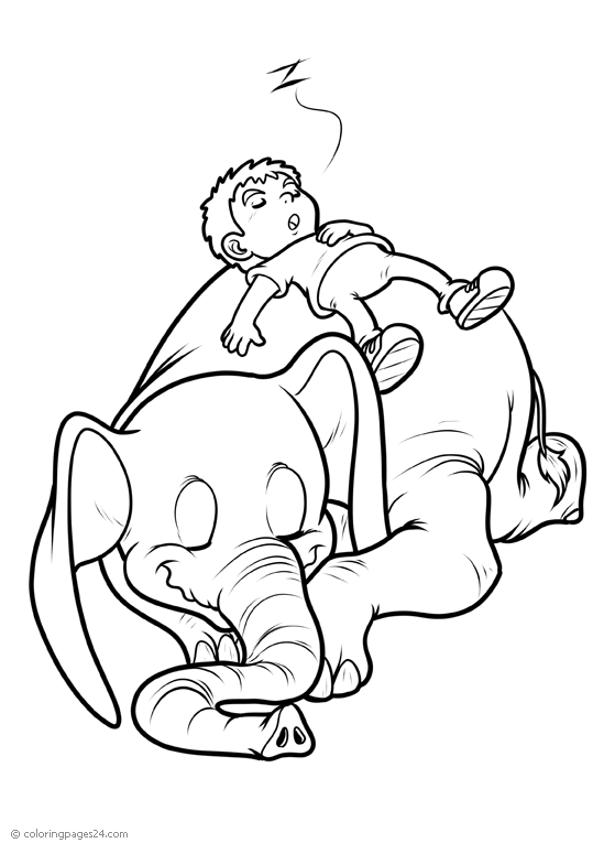 Elephants 18