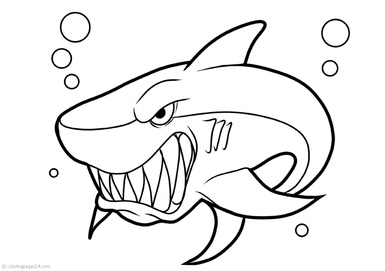 Whales 8 | Coloring Pages 24