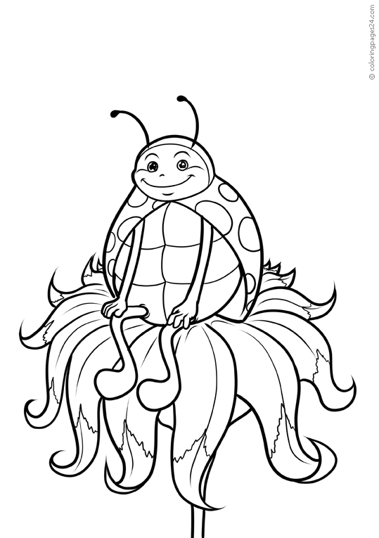 Ladybugs 7