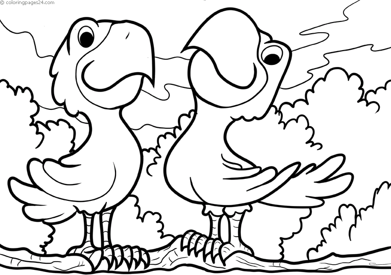 Parrots 7