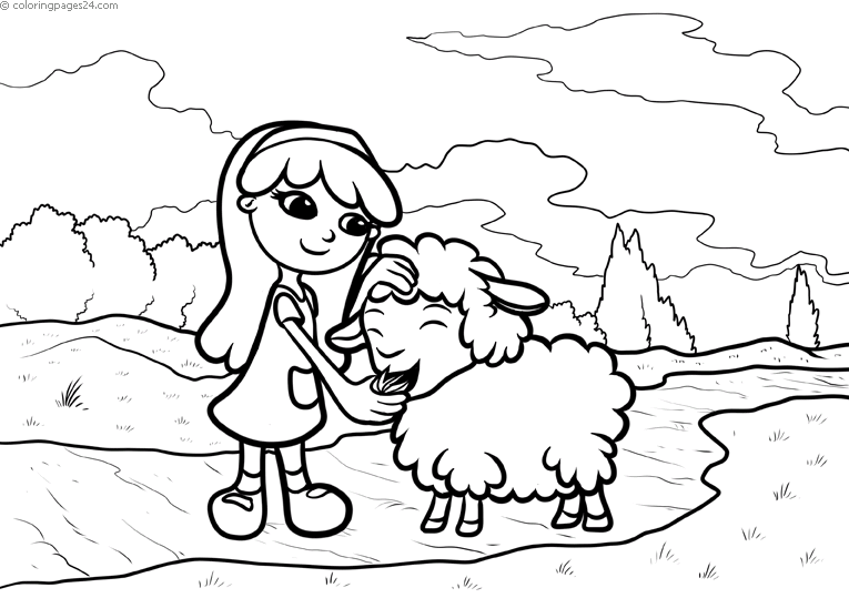 Sheep 13