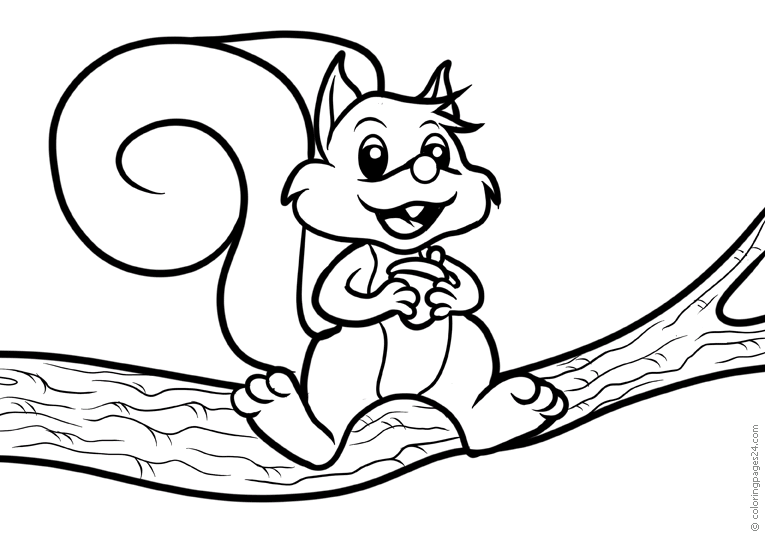Squirrels 11