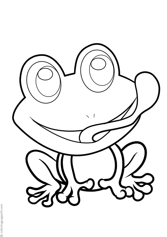 Frogs & Toads 13