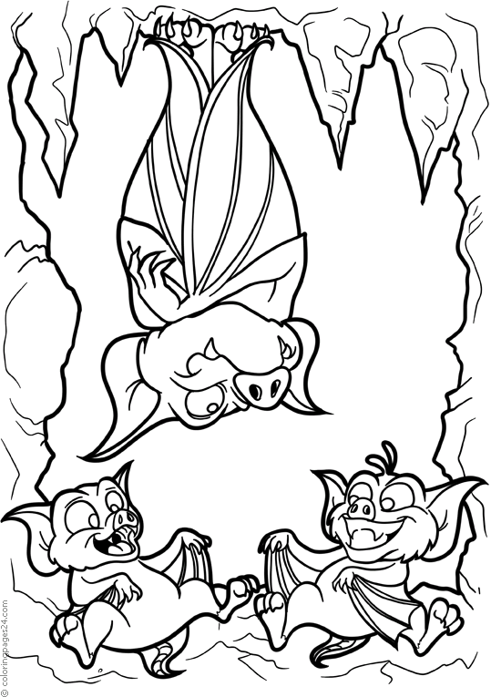 Three bats in a cave