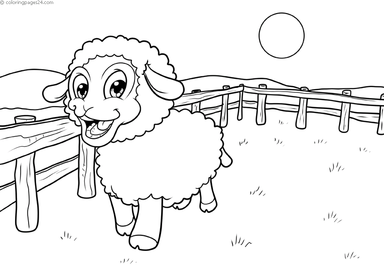 Sheep 15