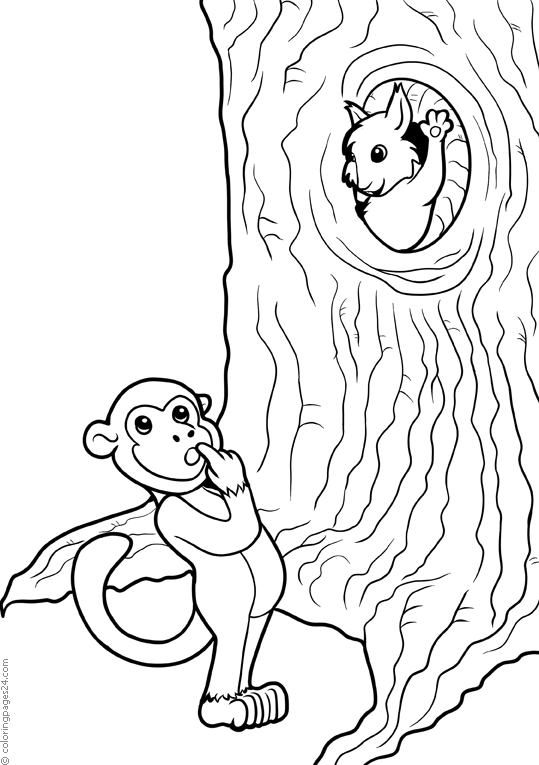 Surprised monkey sees an animal inside a tree