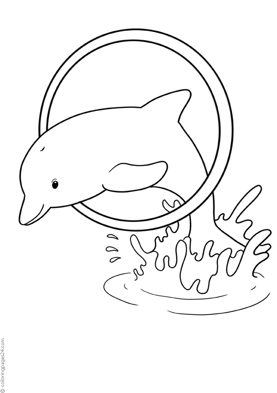 Dolphin jumps through a ring