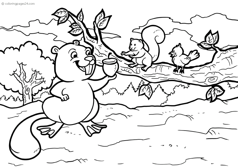A beaver fetches acorns to a little squirrel out in the woods