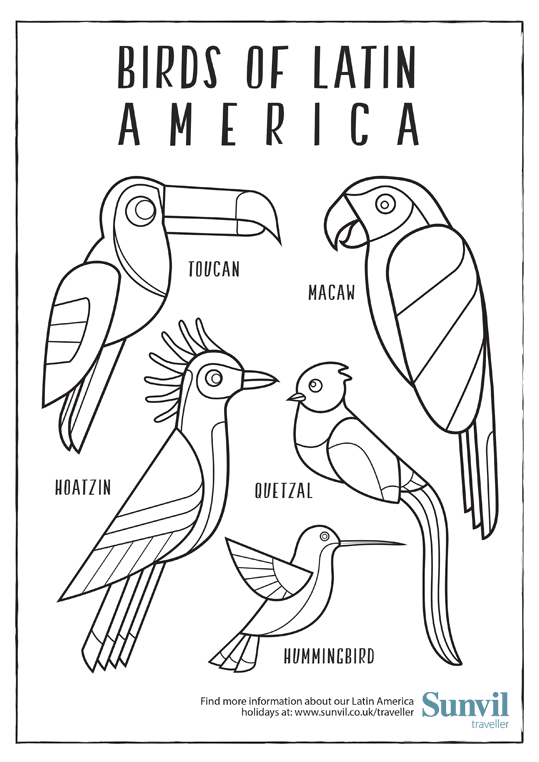 Birds of Latin America