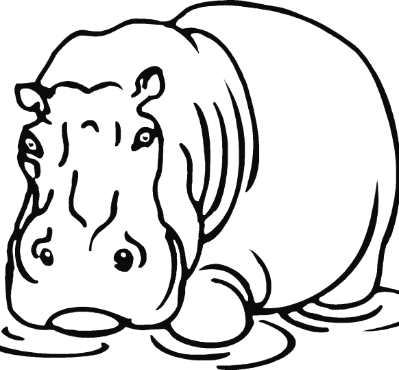 Hippos 1