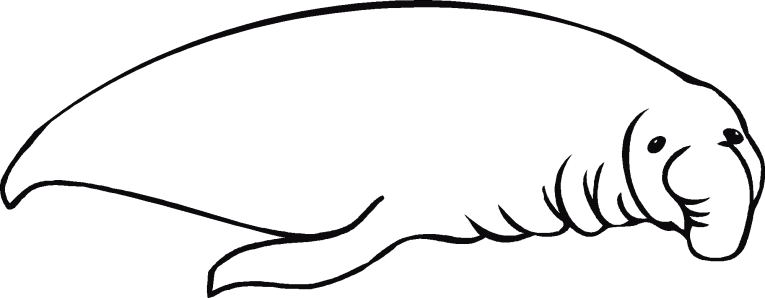 Walruses 1
