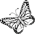 Butterflies - 17
