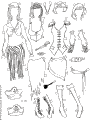 Paper Dolls - Poser 3