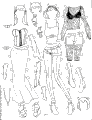 Paper Dolls - Poser 5