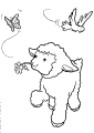 Sheep - 7