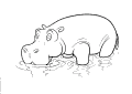Hippos - 9