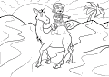 Camels - 4