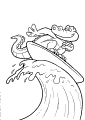 Alligators & Crocodiles - 12