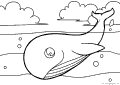 Whales - 7