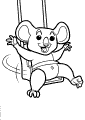 Koala Bears - 5