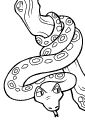 Snakes - 1