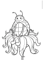 Ladybugs - 7