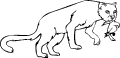 Panthers - 1