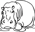Hippos - 1