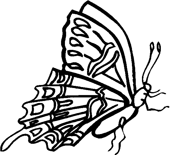 Butterflies 4