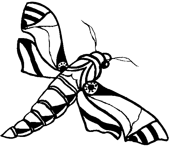 Butterflies 6