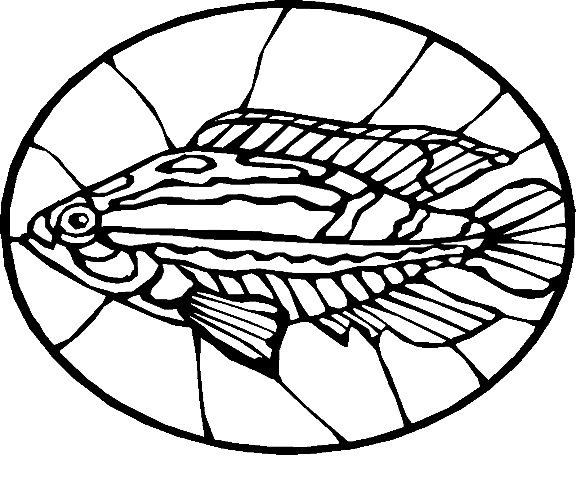 Fishes 67
