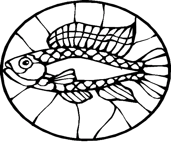 Fishes 74