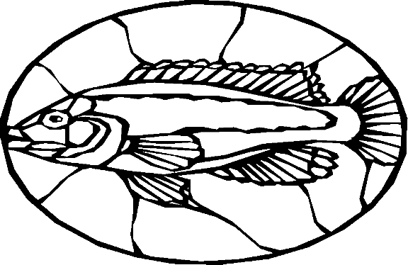 Fishes 93
